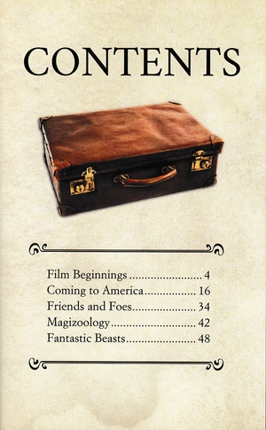 cinematic guide: newt scamander