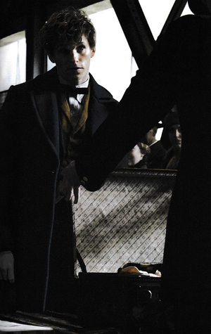 cinematic guide: newt scamander