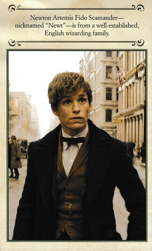 cinematic guide: newt scamander