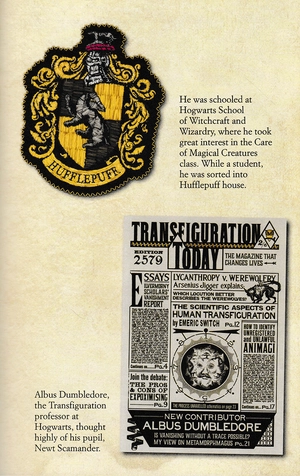 cinematic guide: newt scamander