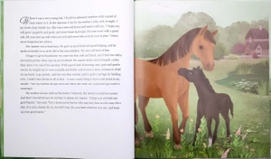 classic picture story collection