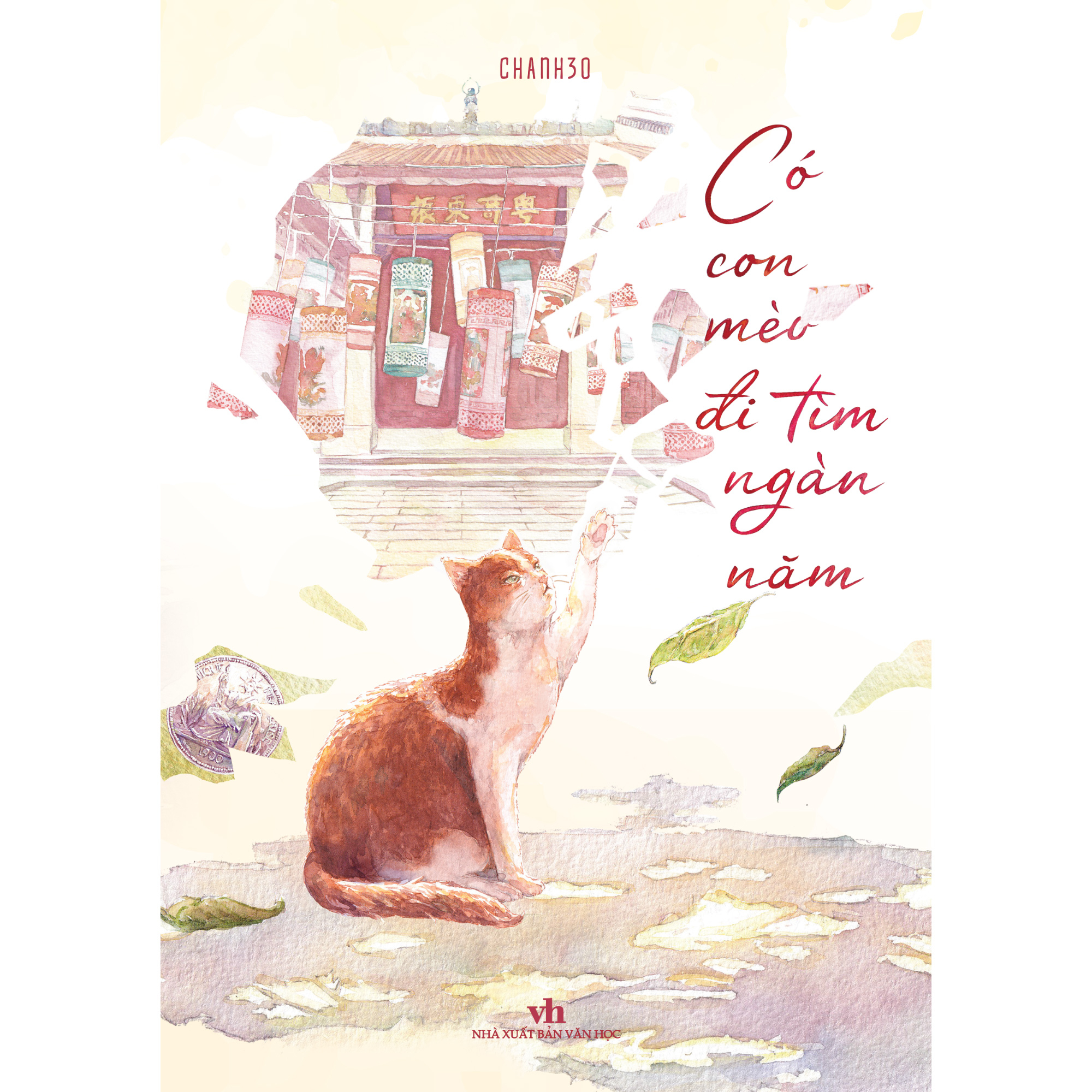 có con mèo đi tìm ngàn năm