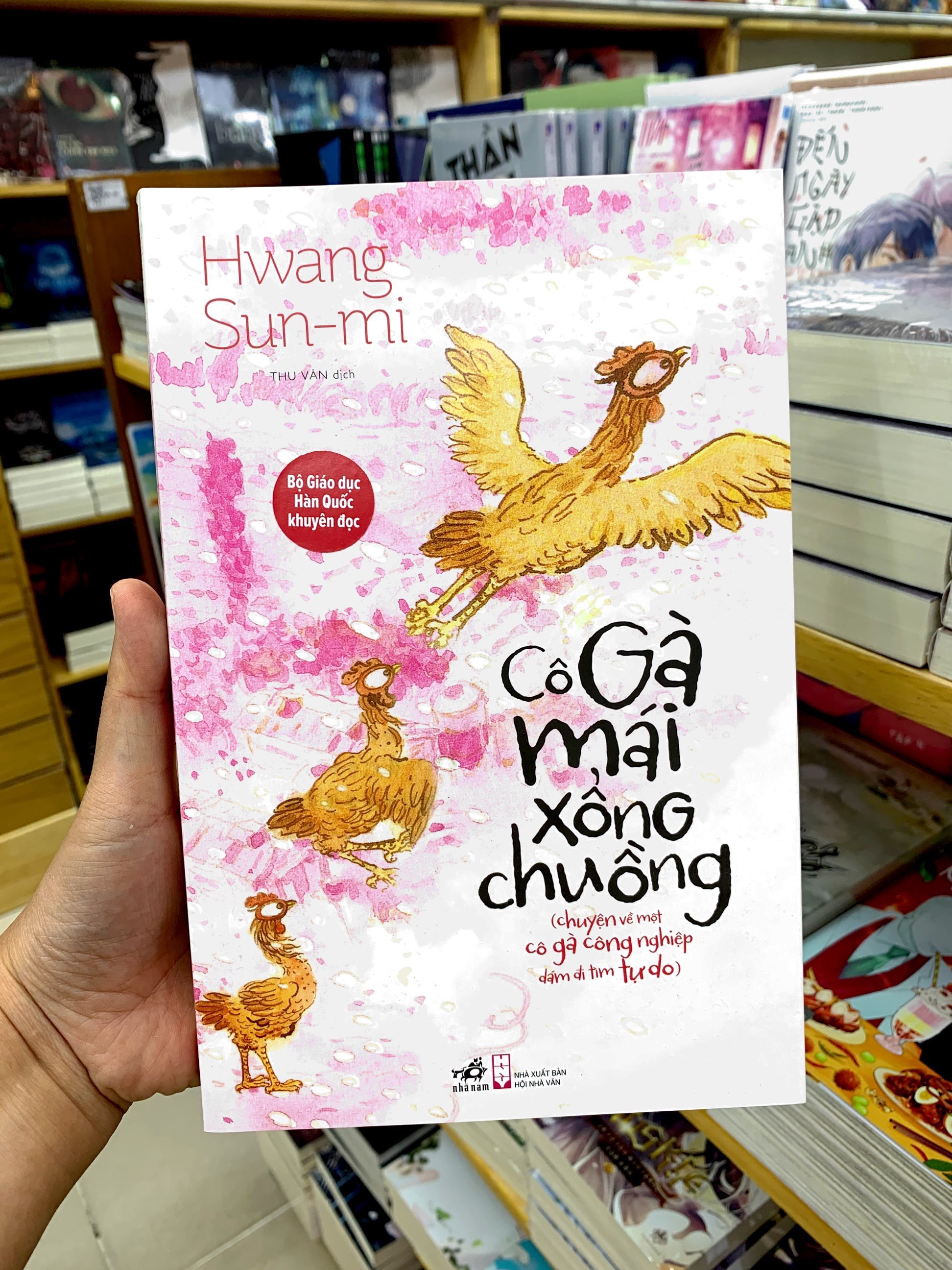 cô gà mái xổng chuồng