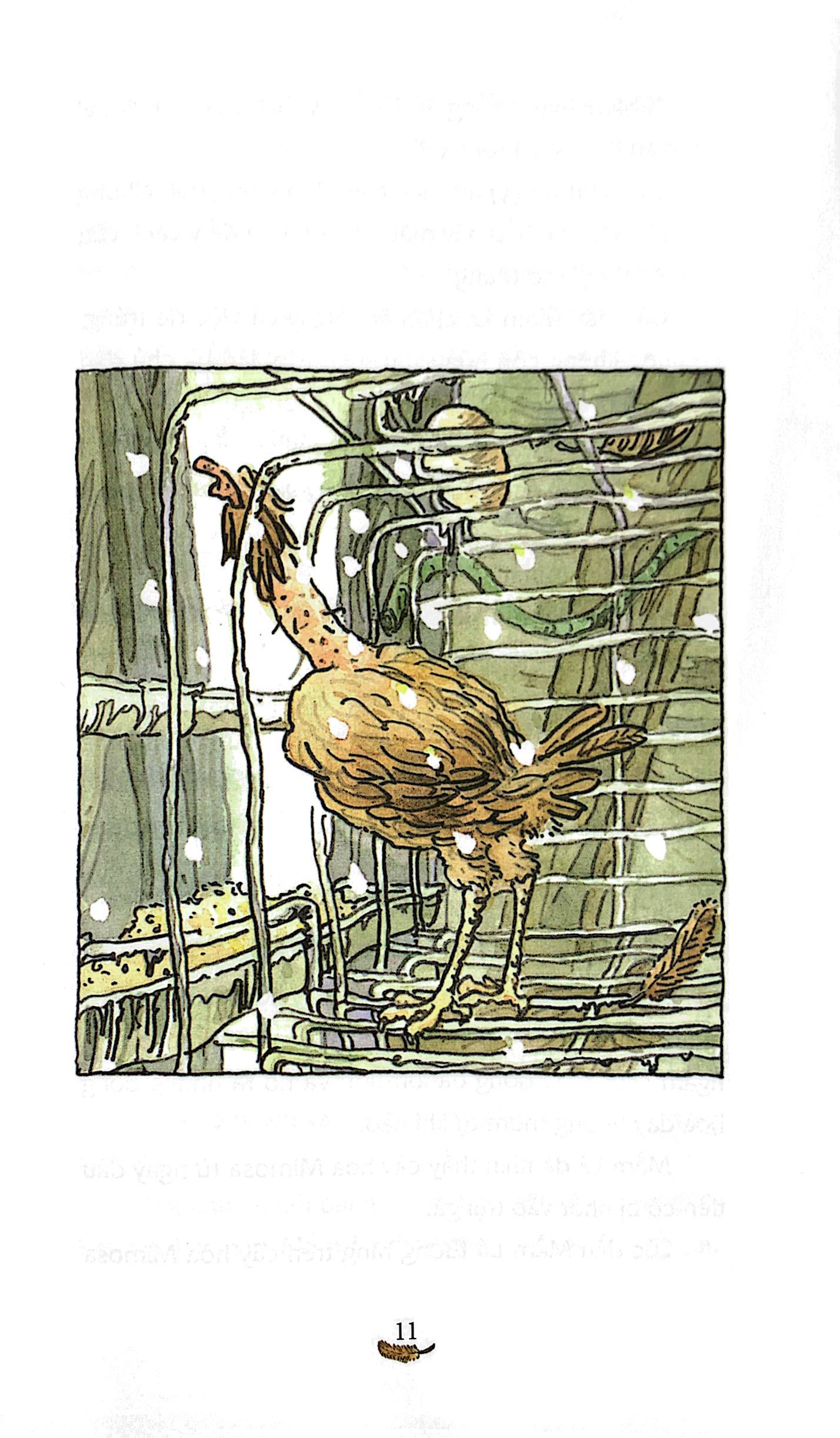 cô gà mái xổng chuồng