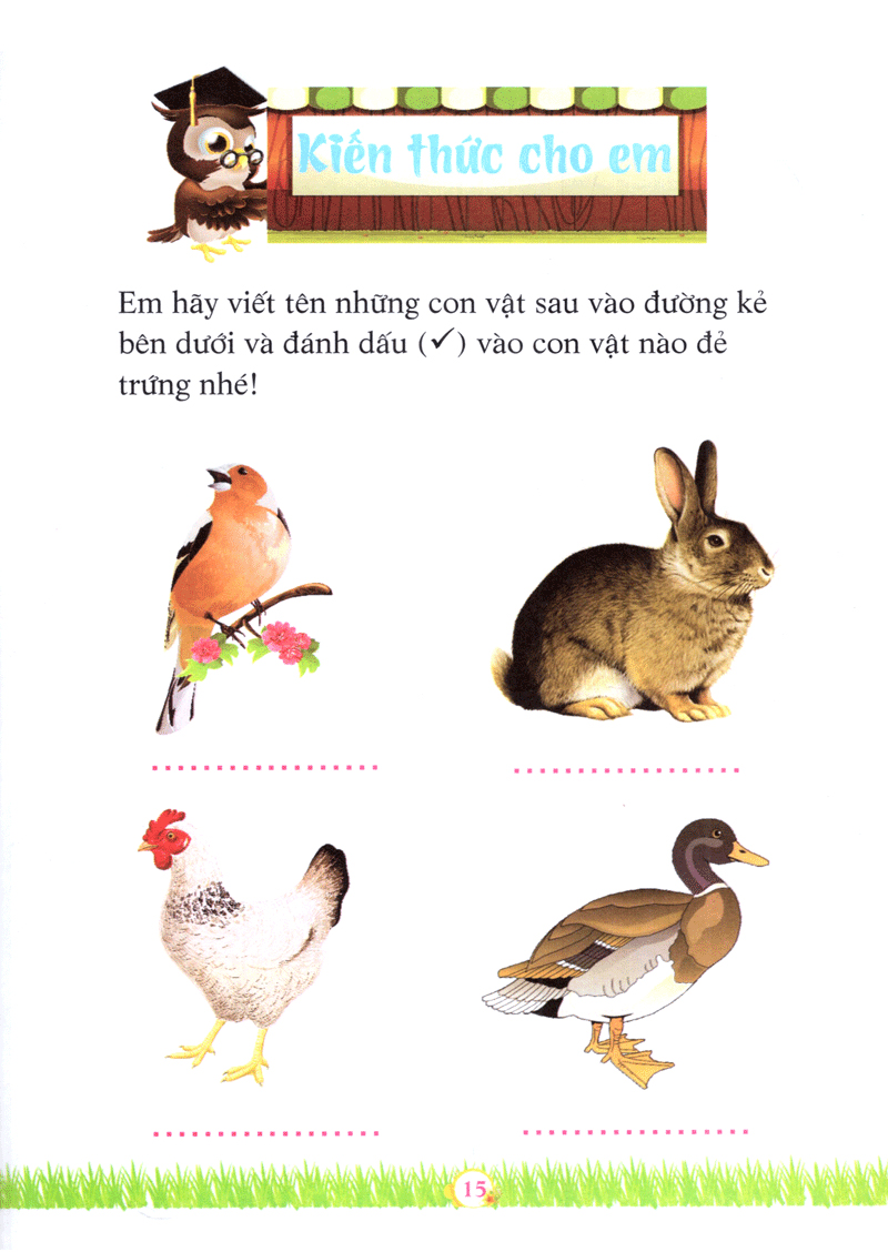 cô gái vắt sữa - những câu chuyện giáo dục