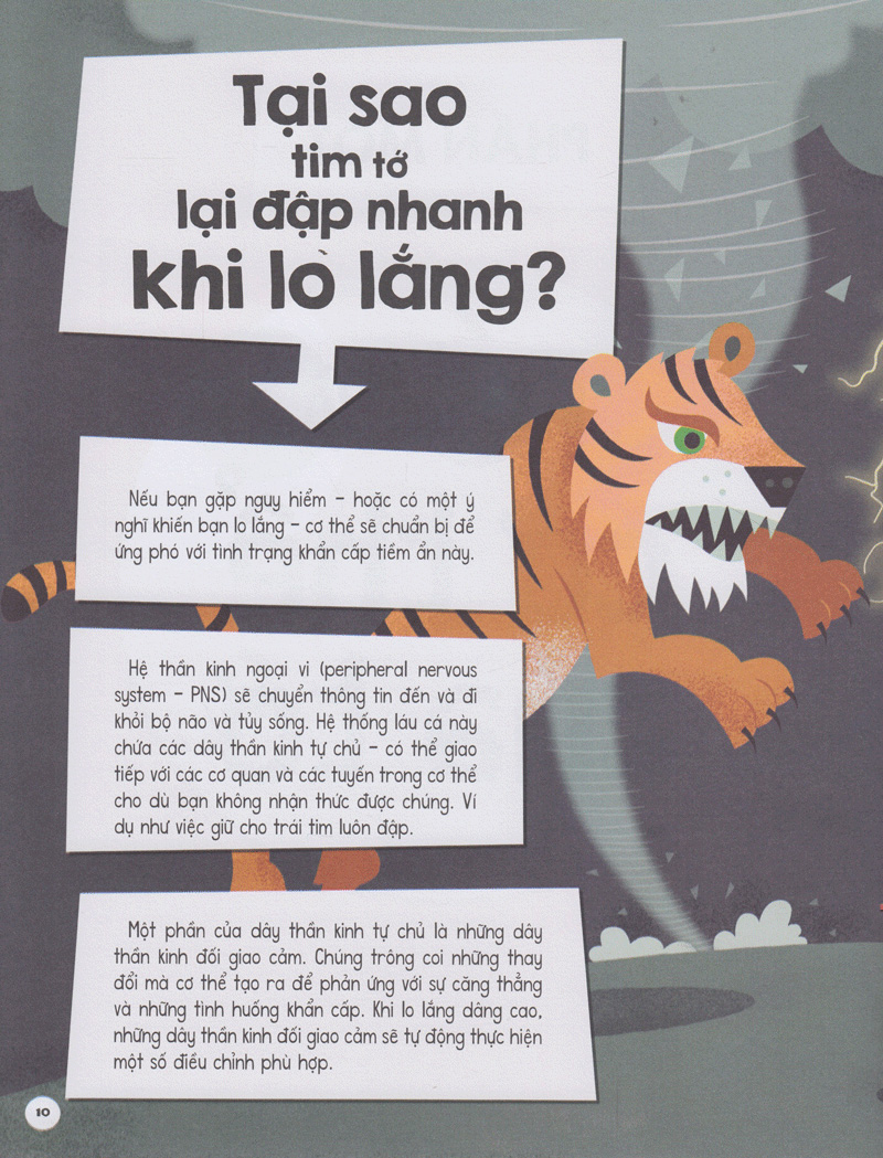 có gì trước big bang?