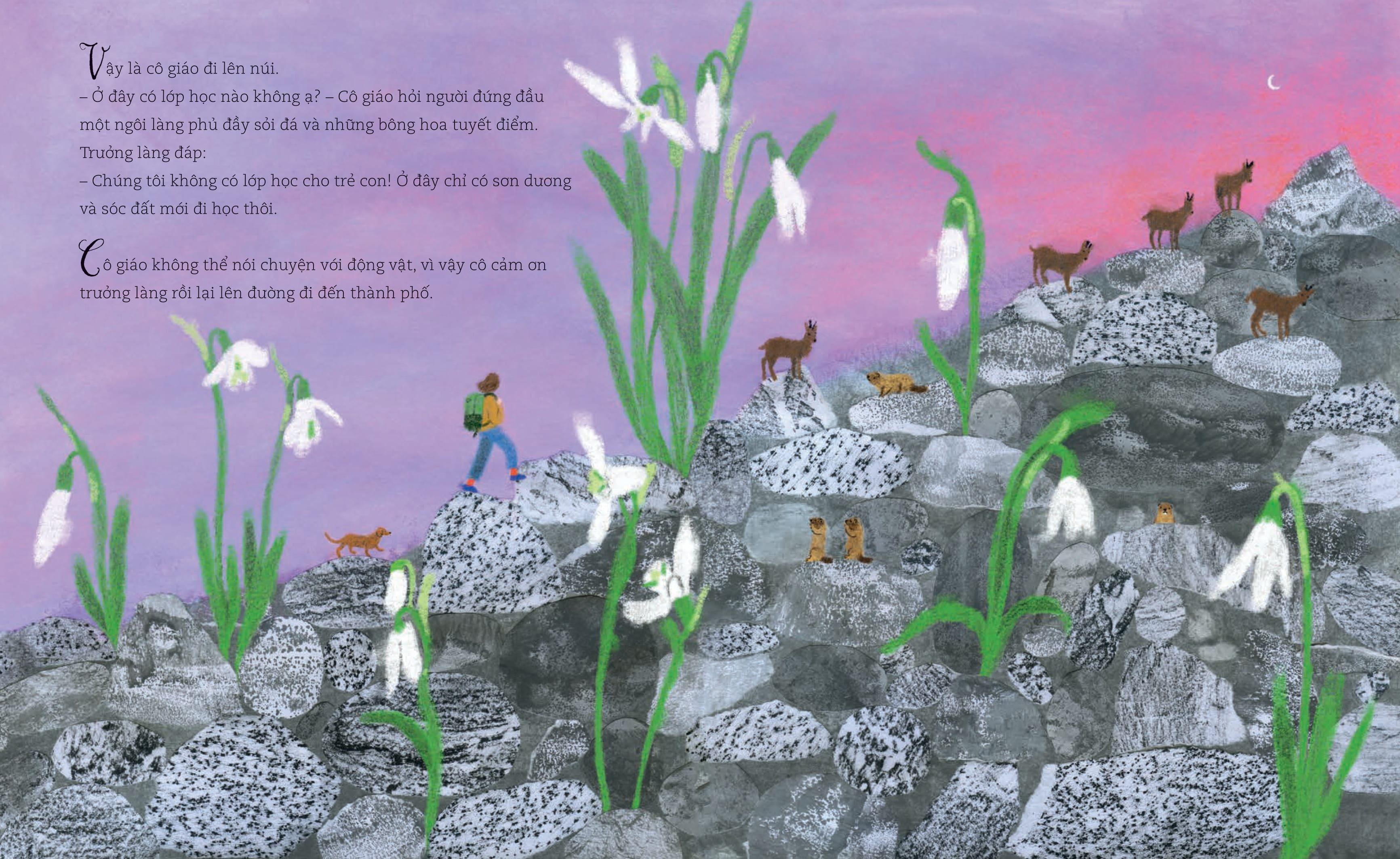 Co Giao Cua Chung Em