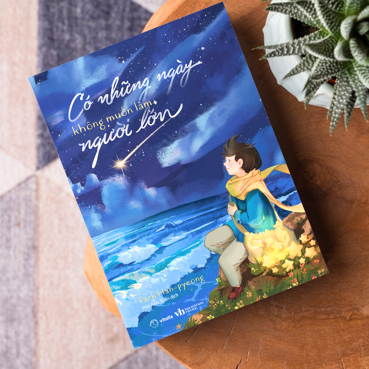 Co Nhung Ngay Khong Muon Lam Nguoi Lon