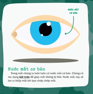 có thể bạn chưa biết - vì sao chúng ta... khóc?