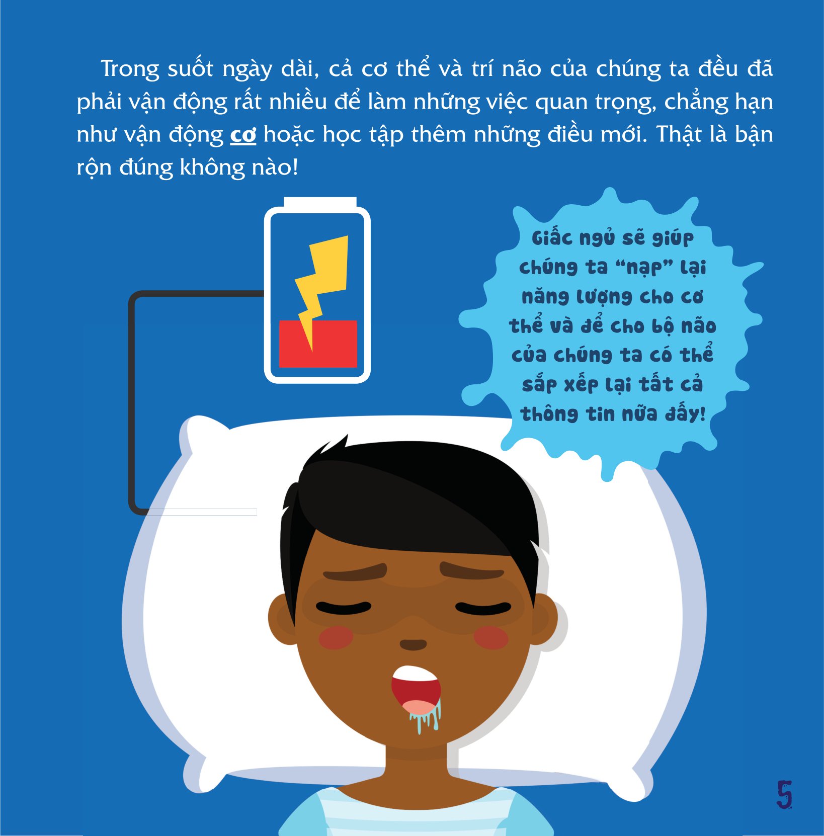 có thể bạn chưa biết - vì sao chúng ta... ngủ?