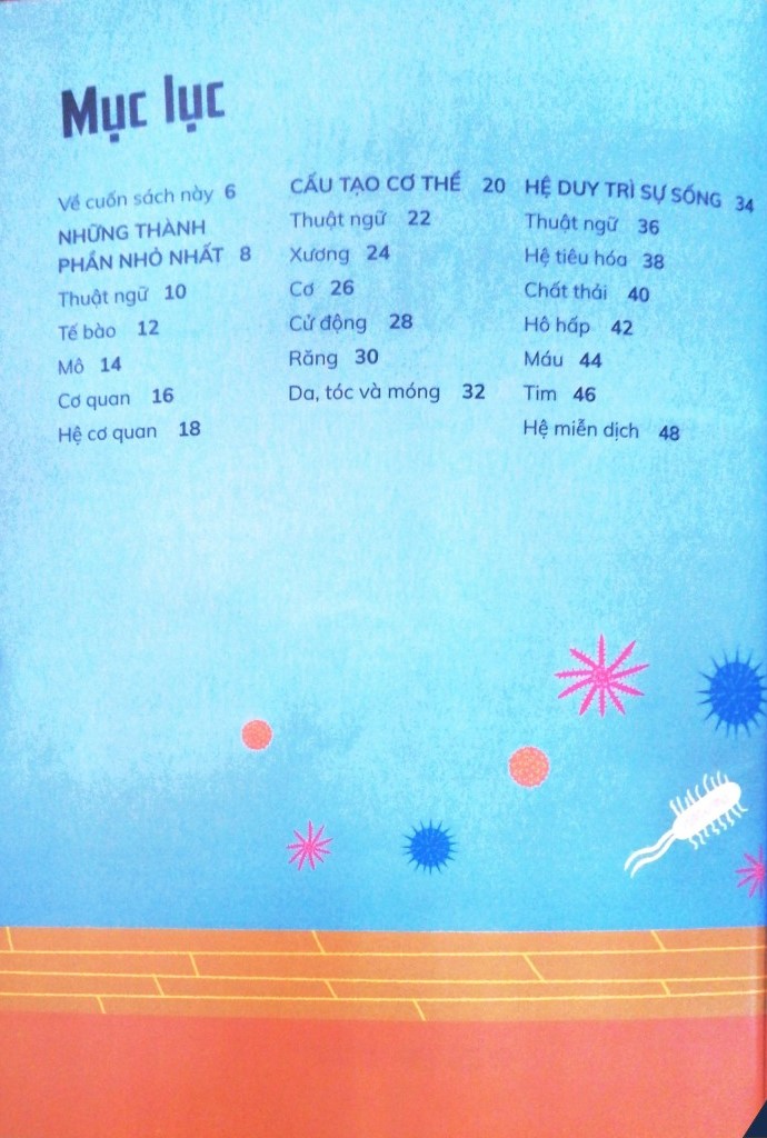 cơ thể người - trong 30 giây