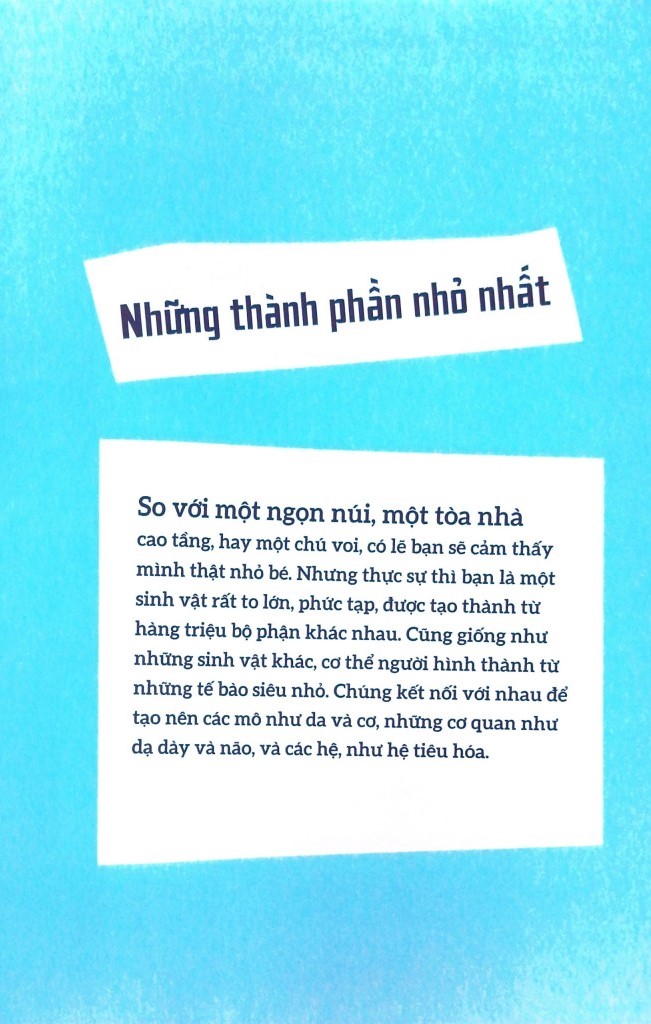 cơ thể người - trong 30 giây