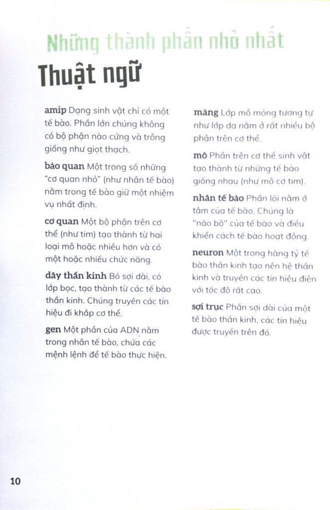 cơ thể người - trong 30 giây