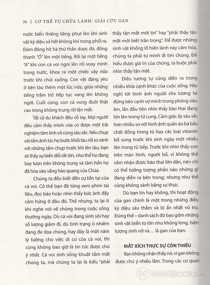 cơ thể tự chữa lành: giải cứu gan