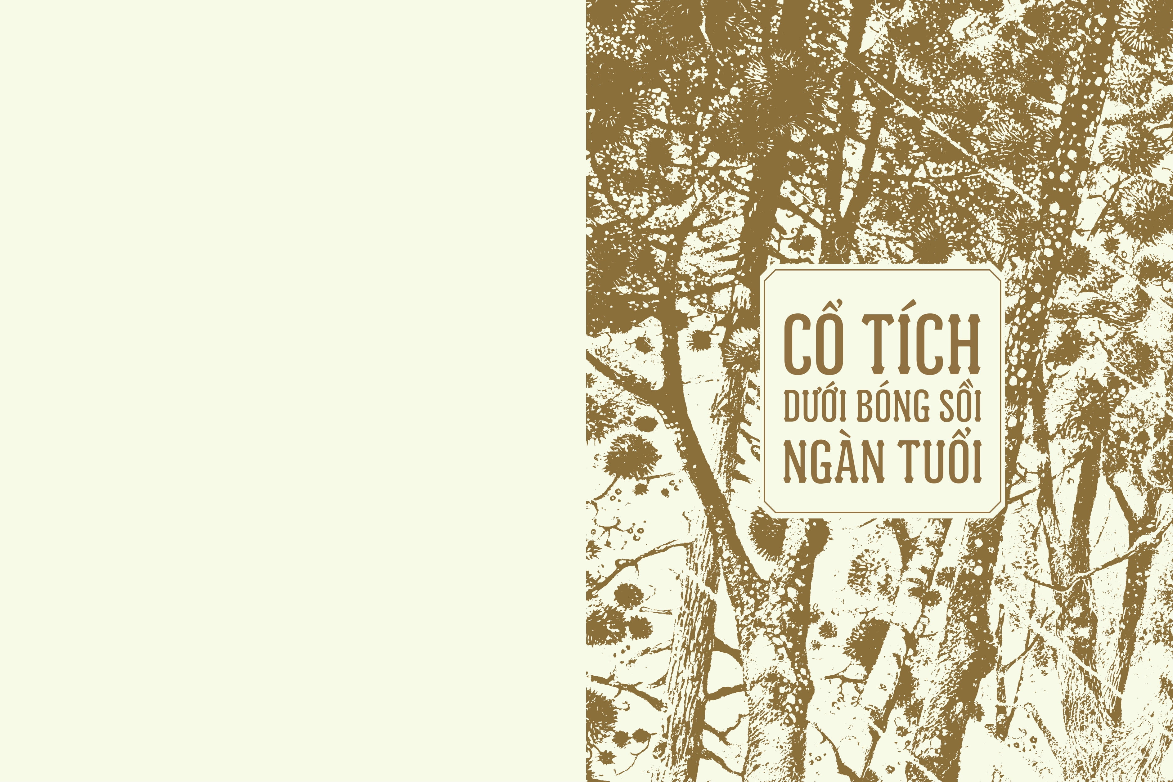 cổ tích dưới bóng sồi ngàn tuổi