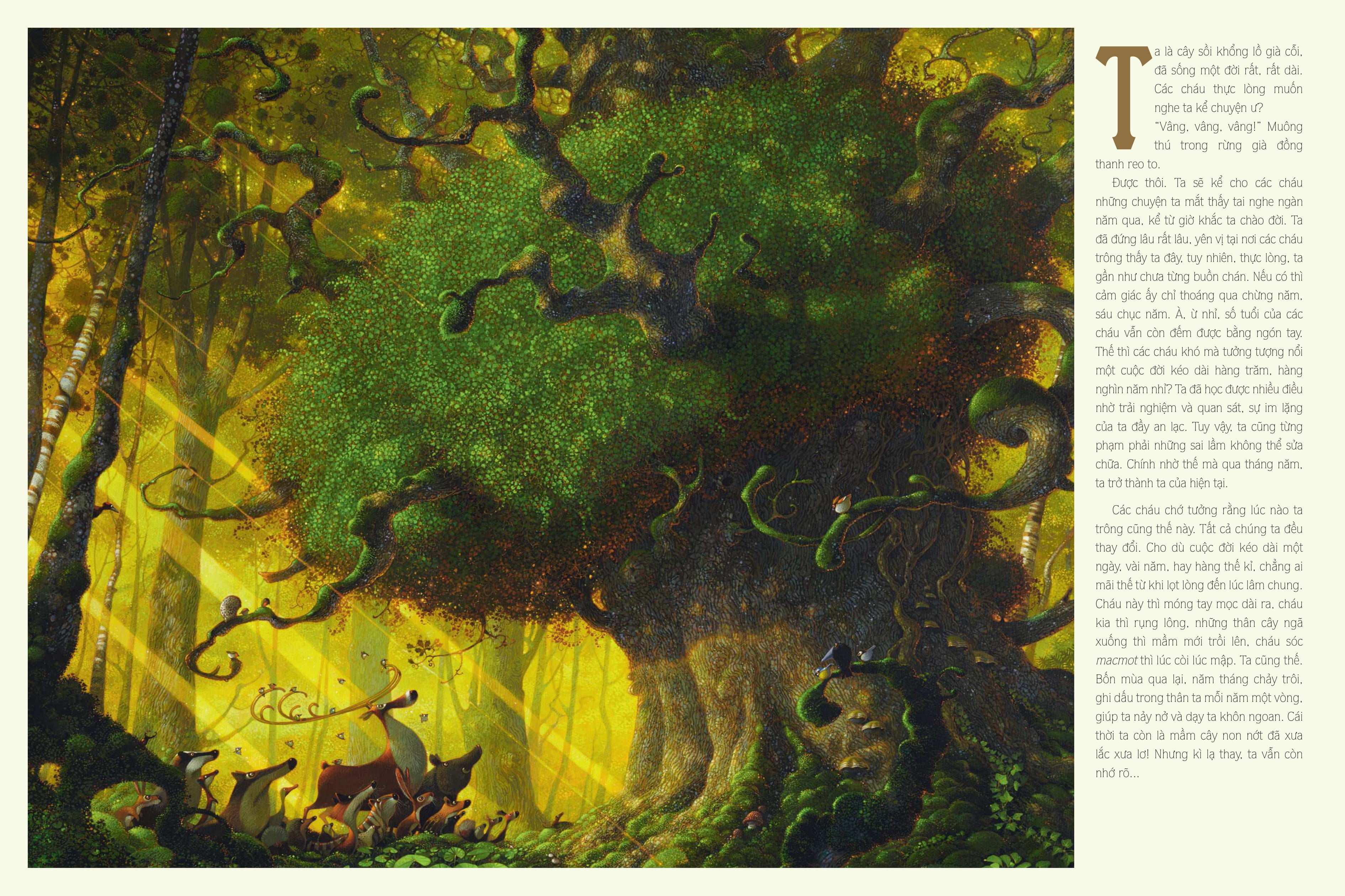 cổ tích dưới bóng sồi ngàn tuổi