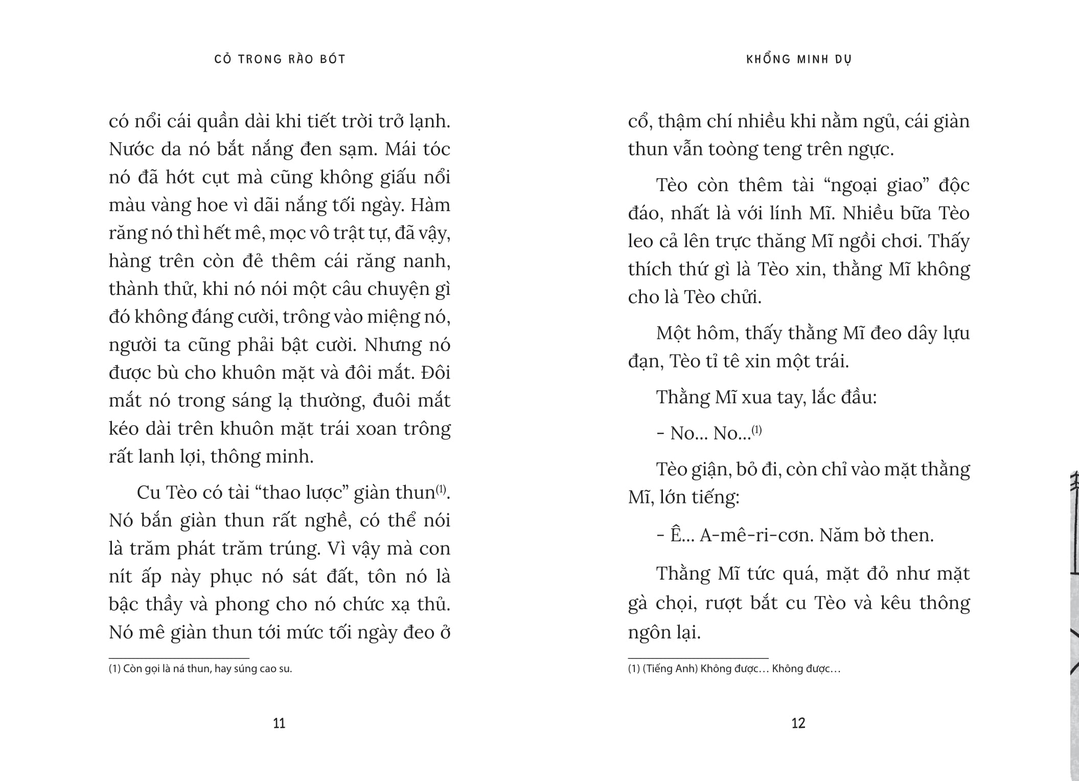 cỏ trong rào bót