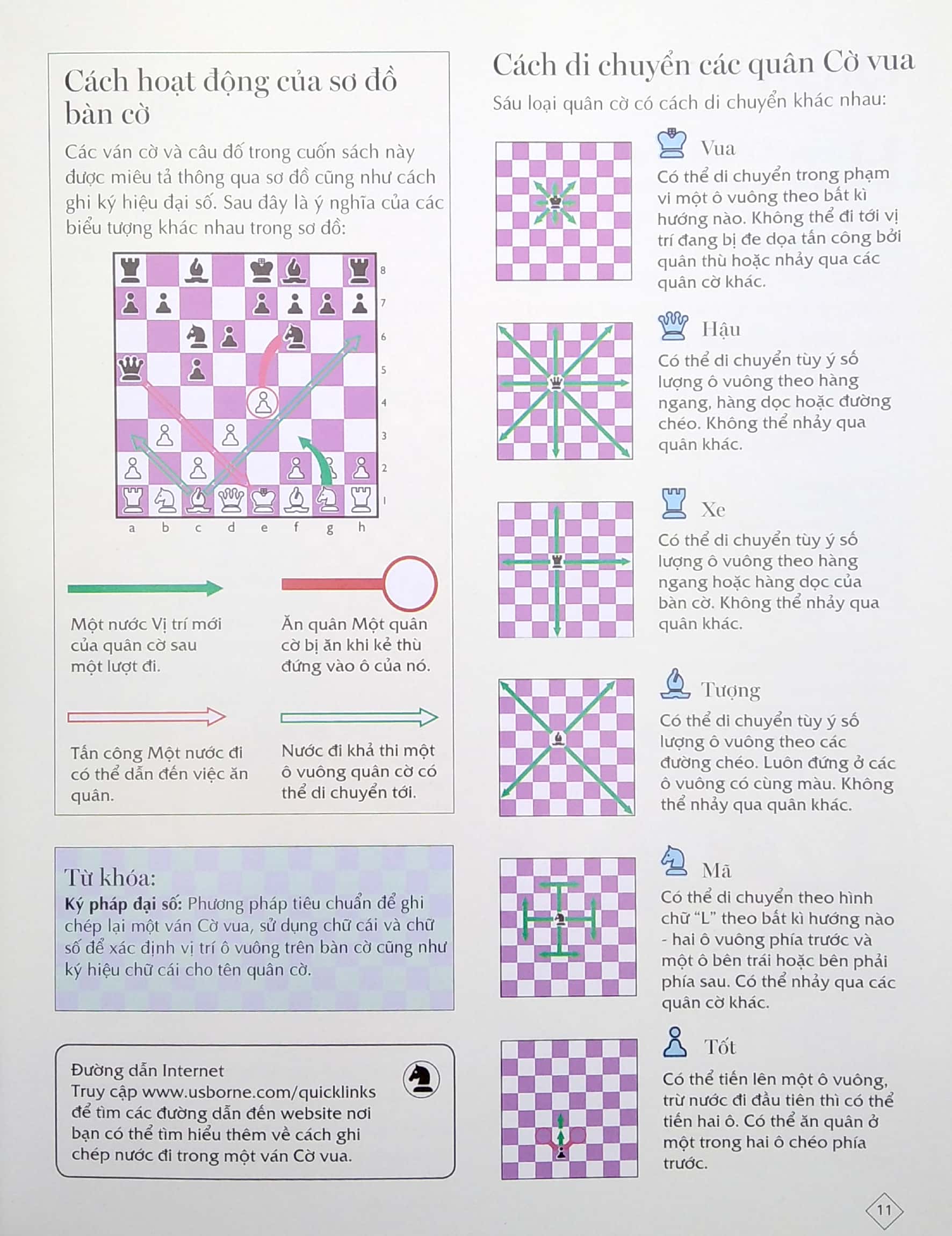 cờ vua - những bước đi đầu của kiện tướng (2022)