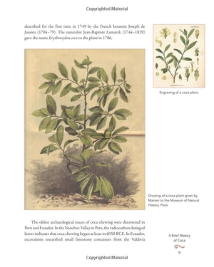 coca wine: angelo mariani's miraculous elixir and the birth of modern advertising