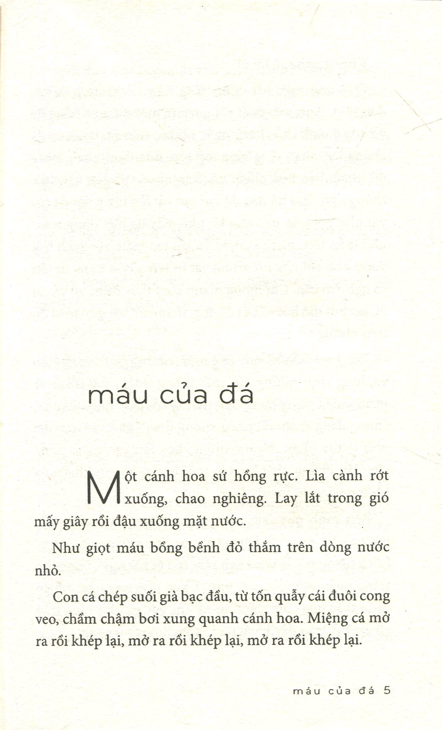 coctail café kem và mặt trời