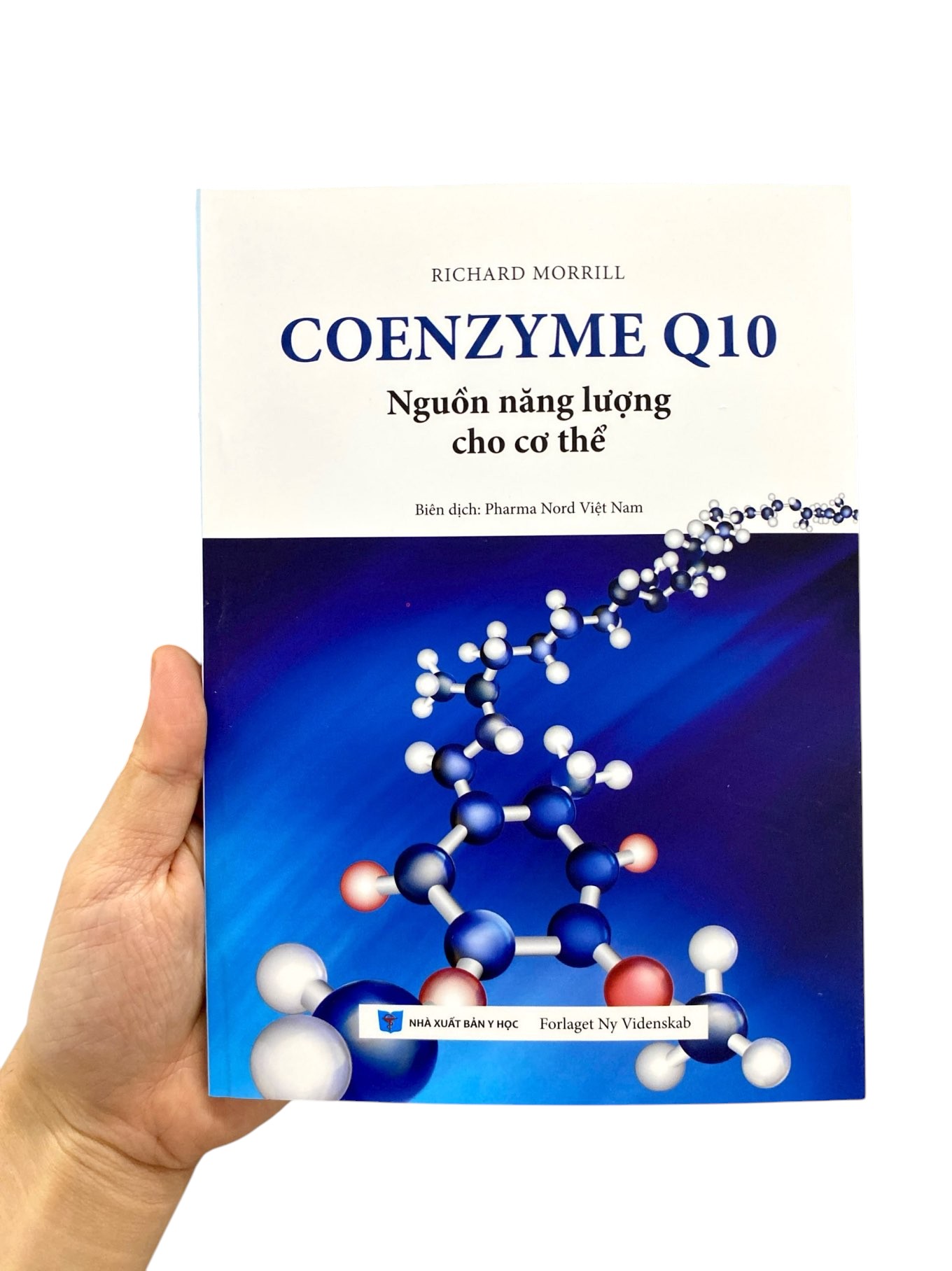 coenzyme q10 - nguồn năng lượng cho cơ thể
