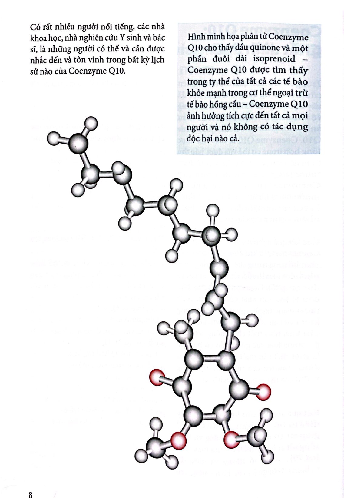 coenzyme q10 - nguồn năng lượng cho cơ thể