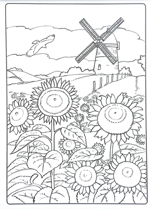 colour art - countryside - creative colouring