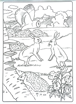 colour art - countryside - creative colouring