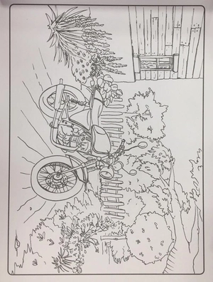 colour art - transport