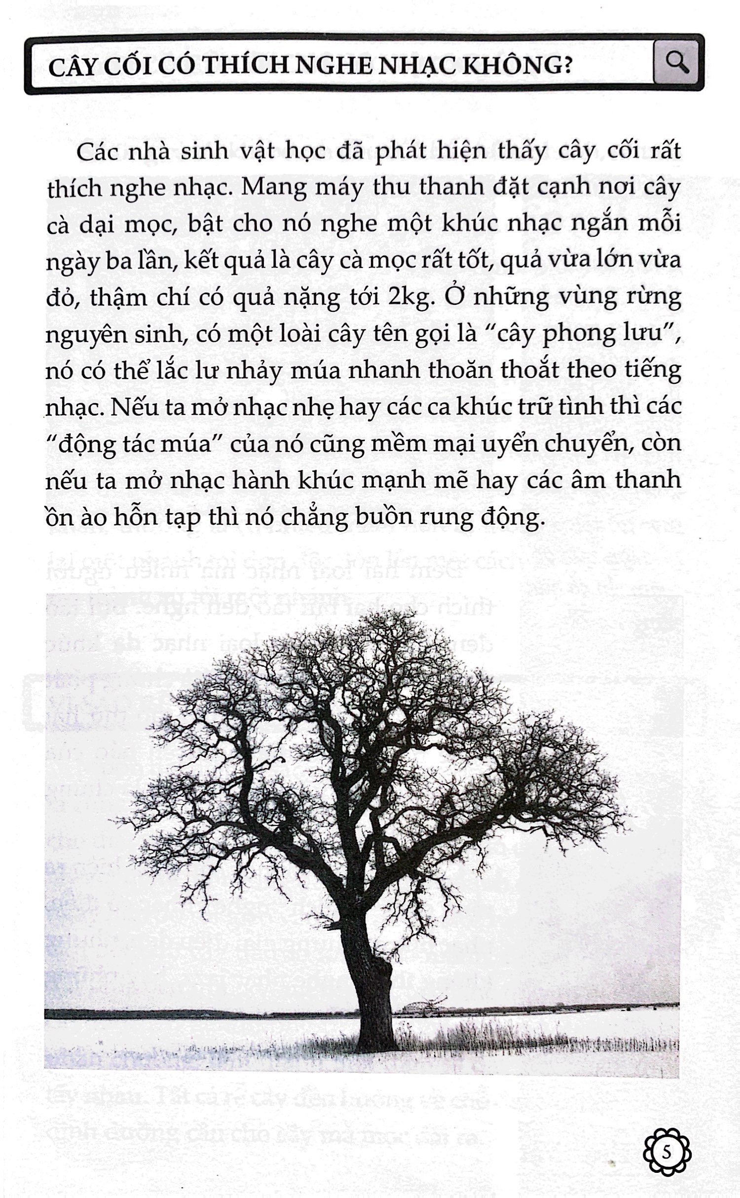 combo sách 10 vạn câu hỏi vì sao? (tái bản 2023) (bộ 5 cuốn)