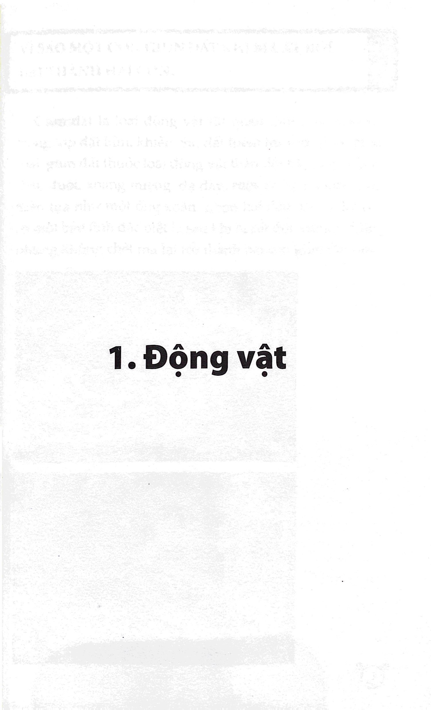 combo sách 10 vạn câu hỏi vì sao? (tái bản 2023) (bộ 5 cuốn)