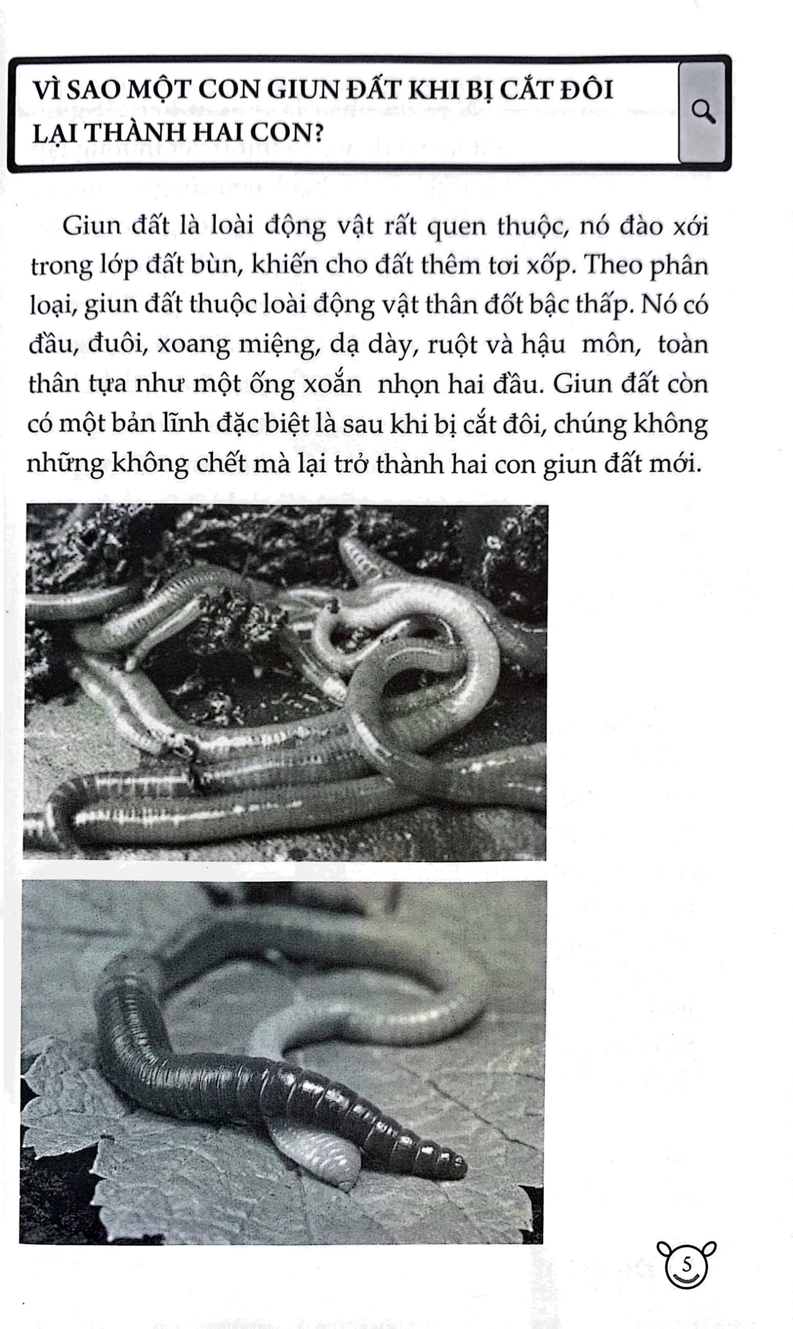 combo sách 10 vạn câu hỏi vì sao? (tái bản 2023) (bộ 5 cuốn)