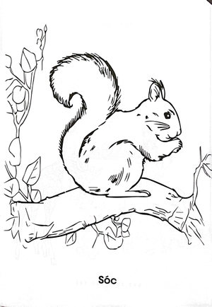 combo sách bé tập tô màu - thảo cầm viên của em (bộ 3 cuốn)