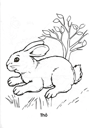 combo sách bé tập tô màu - thảo cầm viên của em (bộ 3 cuốn)