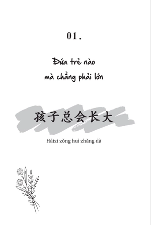 combo sách chưa kịp lớn đã phải trưởng thành (bộ 4 cuốn)