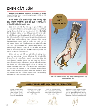 combo sách động vật có tầm ảnh hưởng - nguồn cảm hứng cho những công trình kiến trúc của loài người (bộ 3 cuốn)