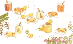 combo sách ehon nhật bản bìa cứng - tiệm bánh mỳ lừng danh + tiệm súp lừng danh + tiệm mật ong lừng danh bộ 3 cuốn)