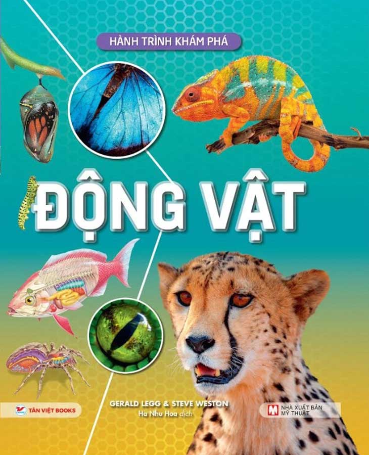 combo sách hành trình khám phá - bìa cứng (bộ 5 cuốn)