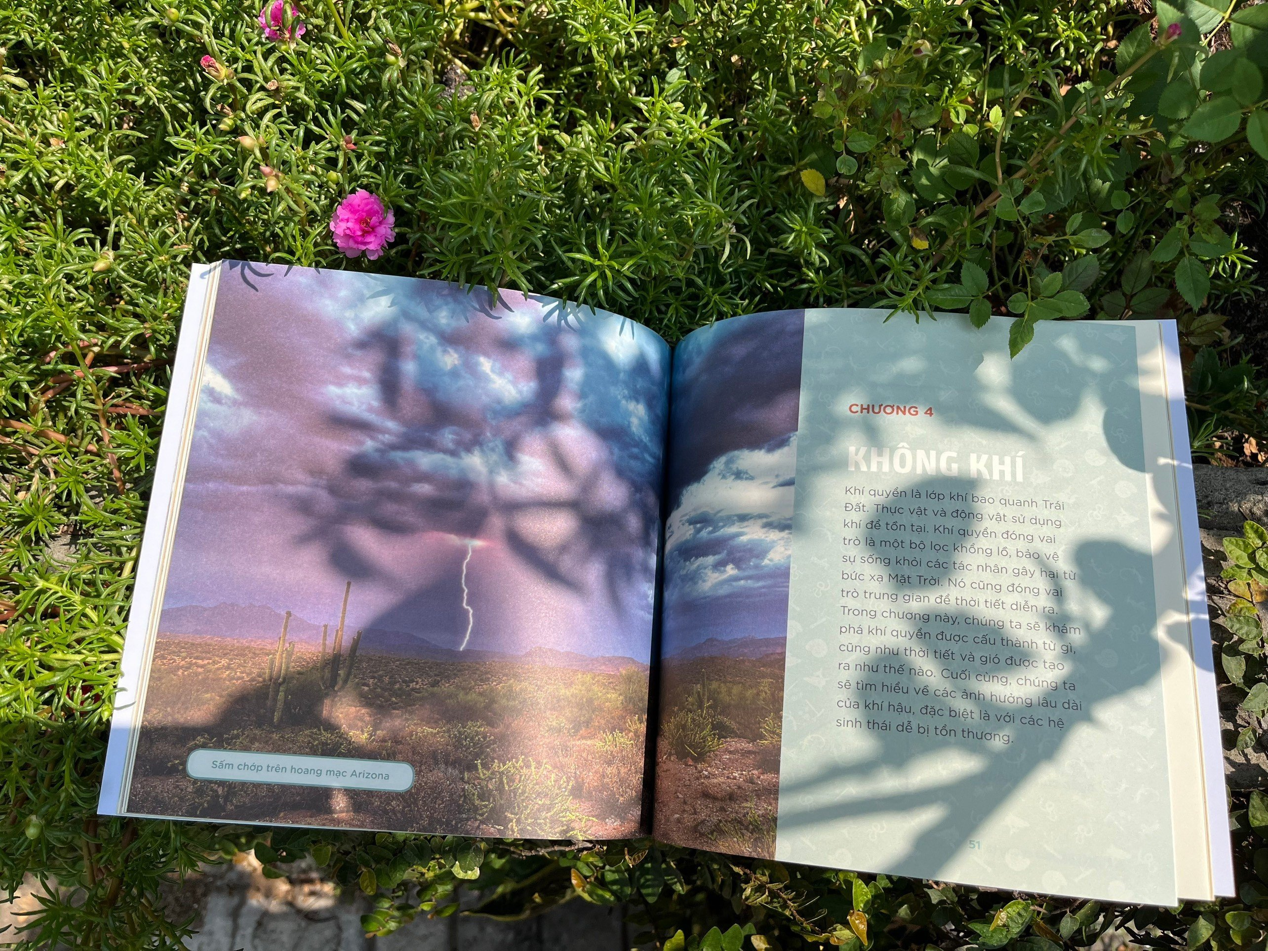 combo sách nhà khoa học nhí - tìm hiểu địa chất + trái đất của chúng ta (bộ 2 cuốn)