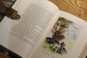 con bim trắng tai đen - ấn bản giới hạn - bìa da