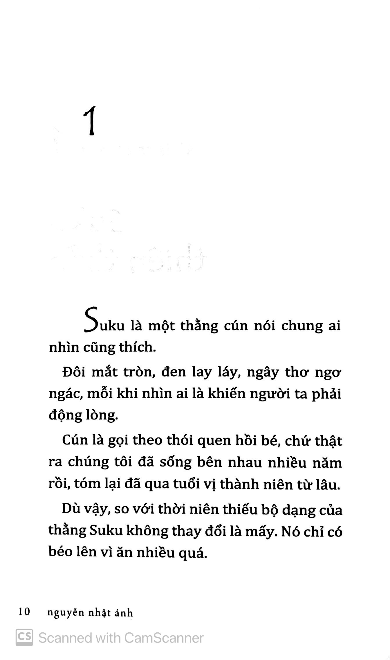 con chó nhỏ mang giỏ hoa hồng (tái bản 2020)