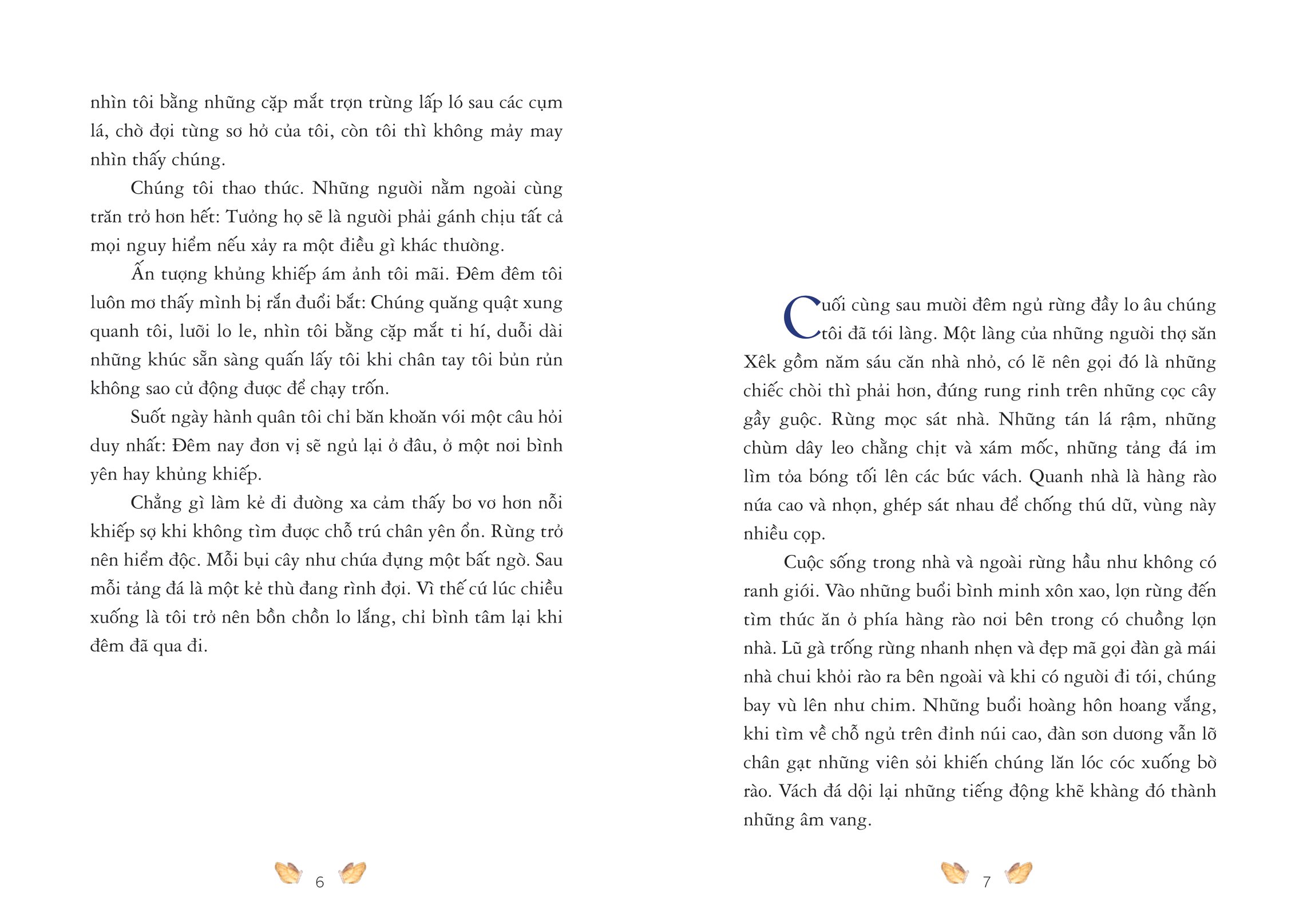 con cu li của tôi (tái bản 2024)