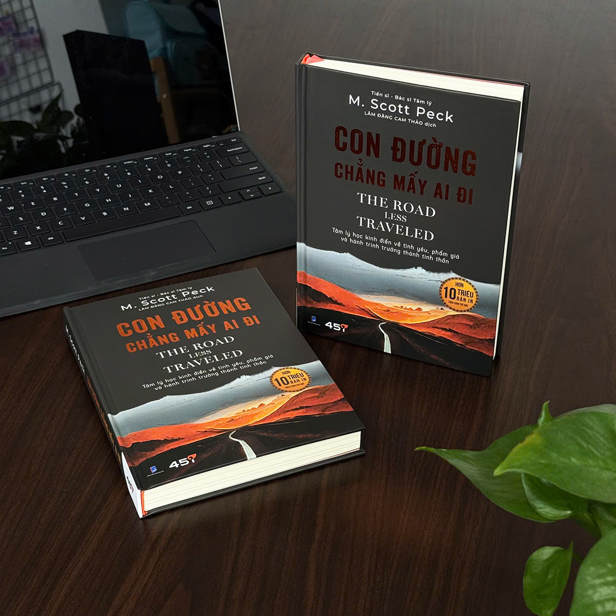 Con Duong Chang May Ai Di - The Road Less Traveled - Bia Cung - Doc Quyen Fahasa