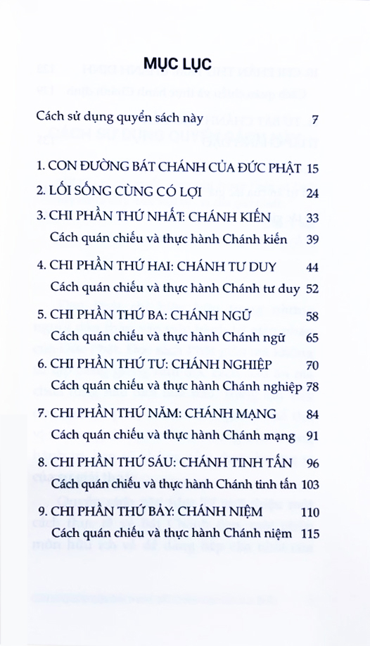 Con Duong Di Den Giai Thoat - Bat Chanh Dao Cua Duc Phat