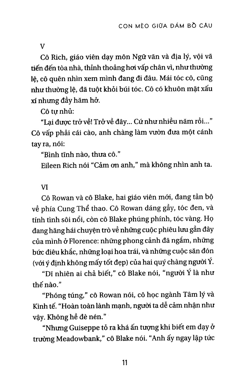 con mèo giữa đám bồ câu