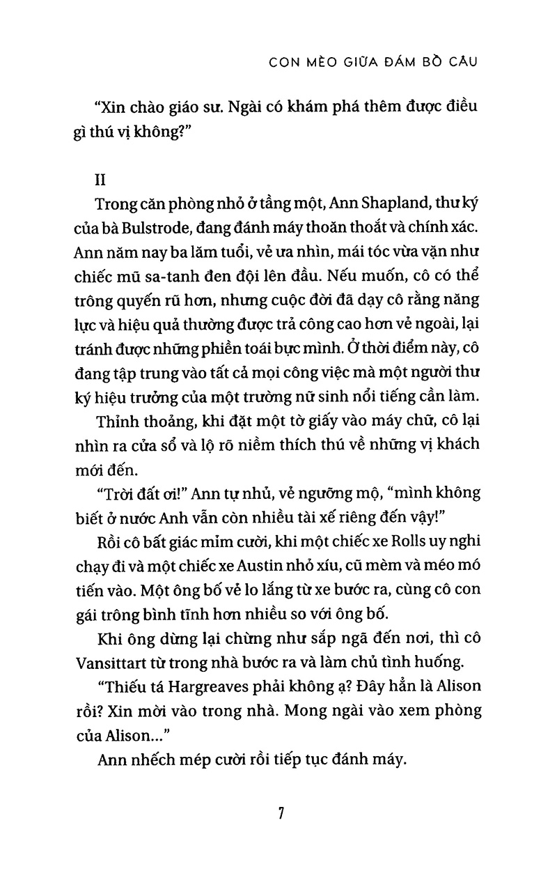 con mèo giữa đám bồ câu