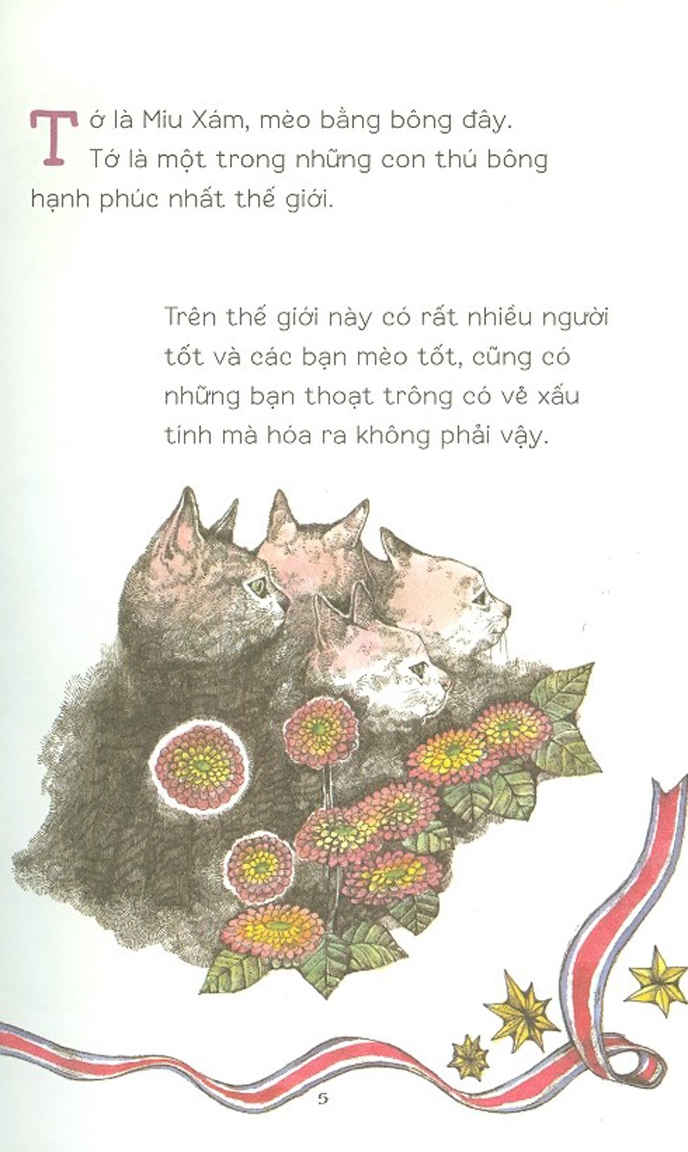 con mèo không ai cần