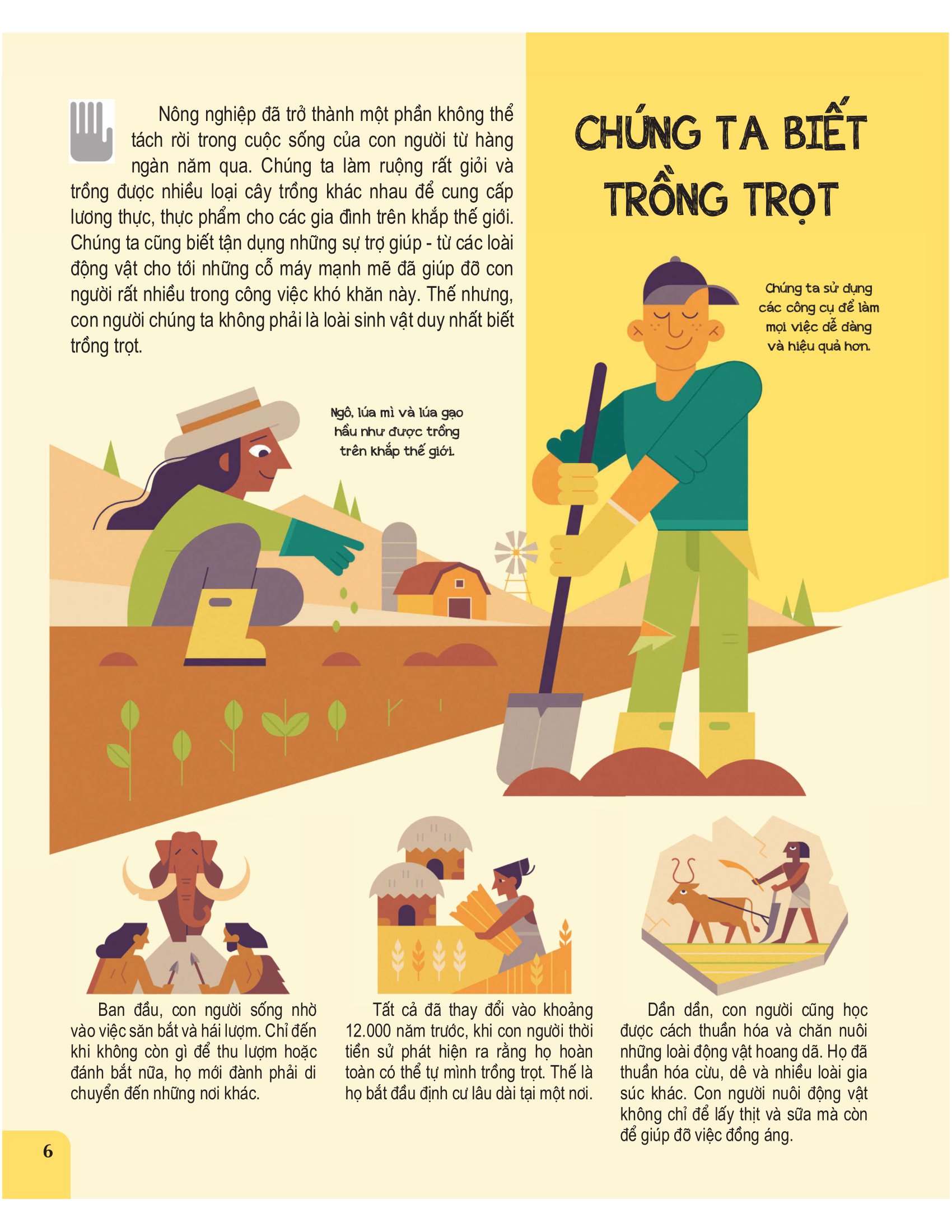 con người & động vật - những điểm tương đồng thú vị