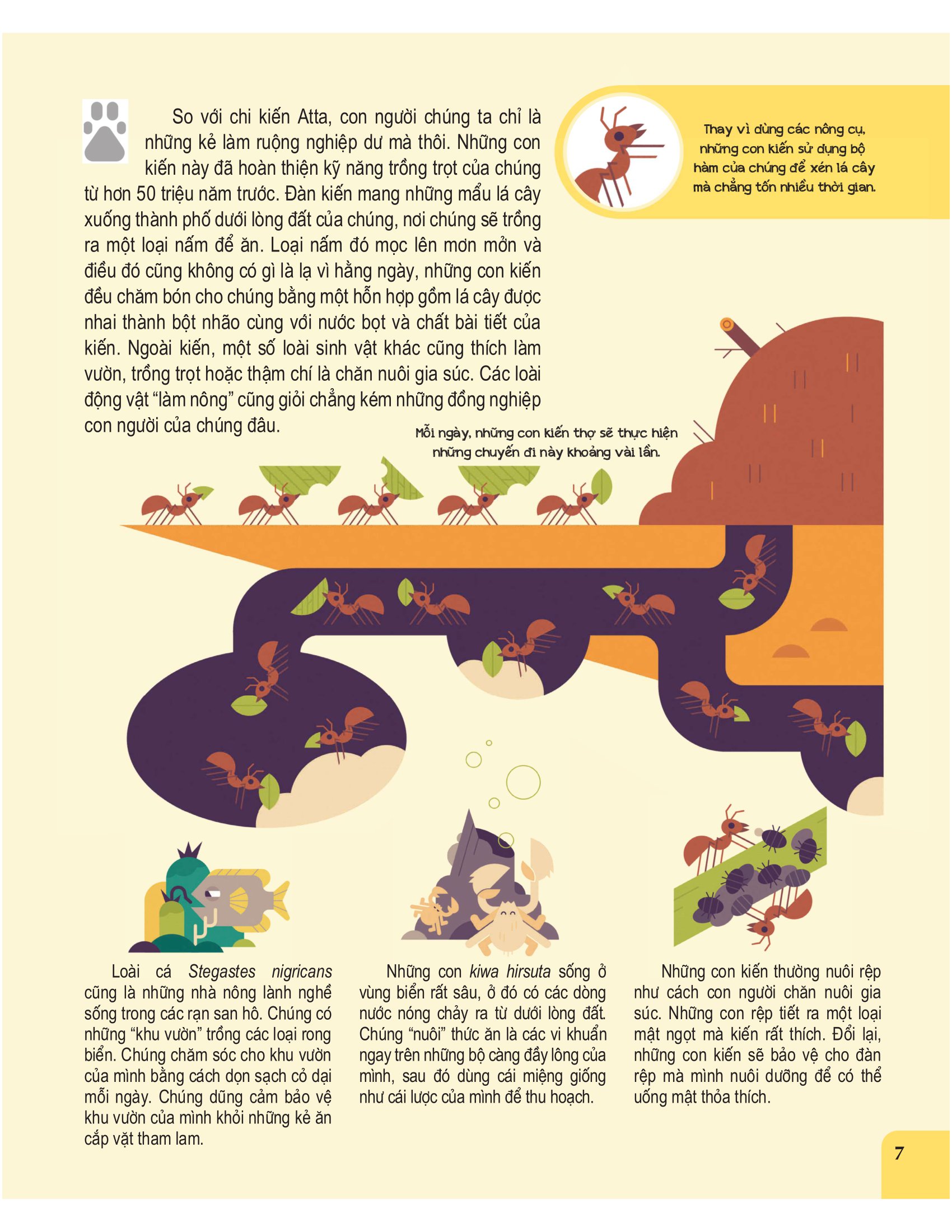 con người & động vật - những điểm tương đồng thú vị