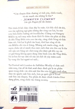 cơn sốt lúc bình minh